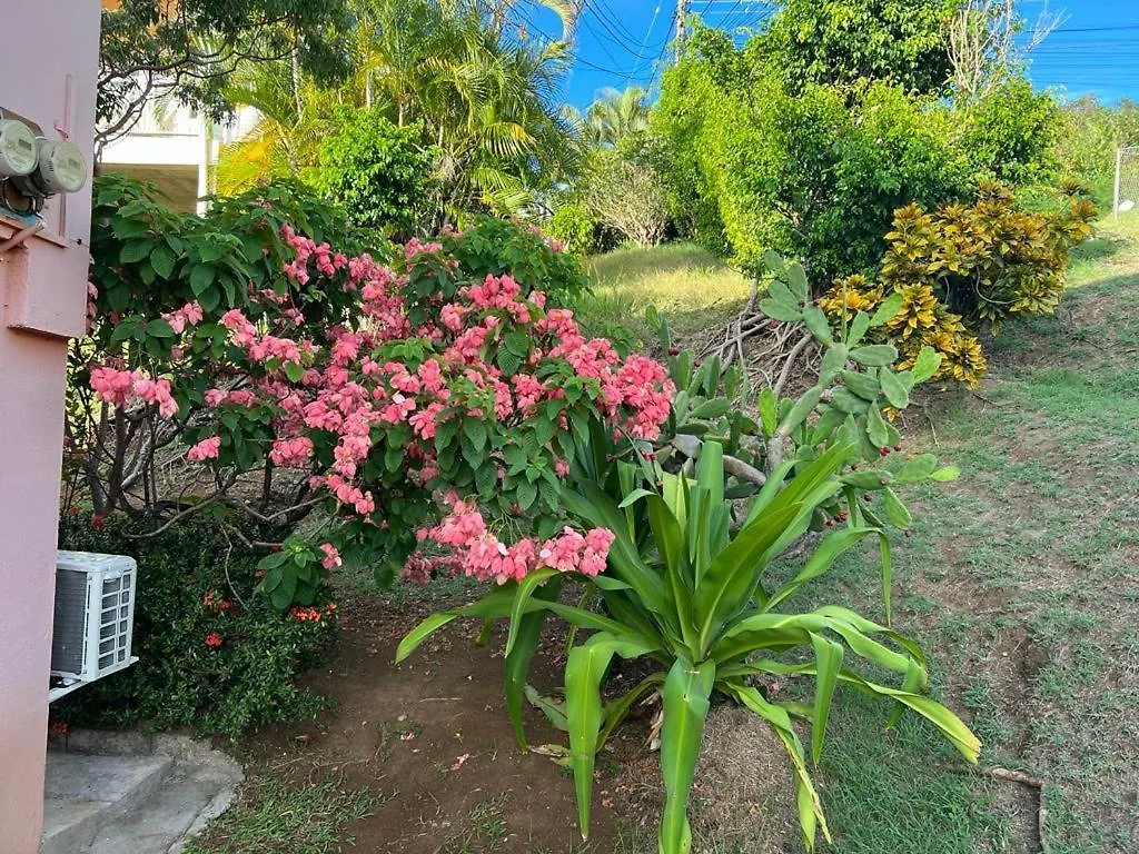 Chez Emmanuel Apartment Gros Islet